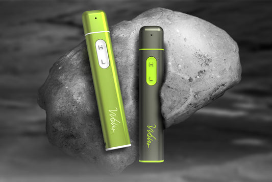 Say Goodbye to Summer Woes: Vibis Bite Healer - 10s Itch Relief